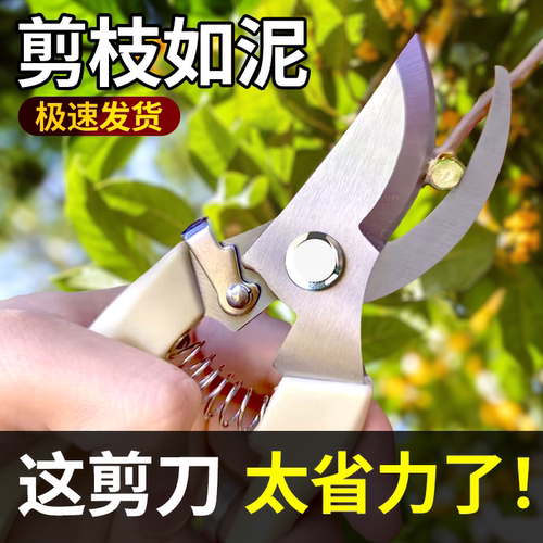 园林花艺剪锋利耐用实惠