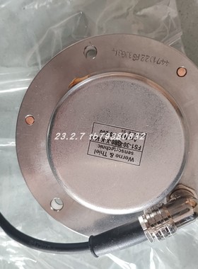 Werne & Thiel FS1-30-G80-X-K-I4/1温湿度传感器