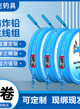 定制进口线组主线成品主线组钓鱼全套鱼线尼龙线鲫鱼套装高端正品