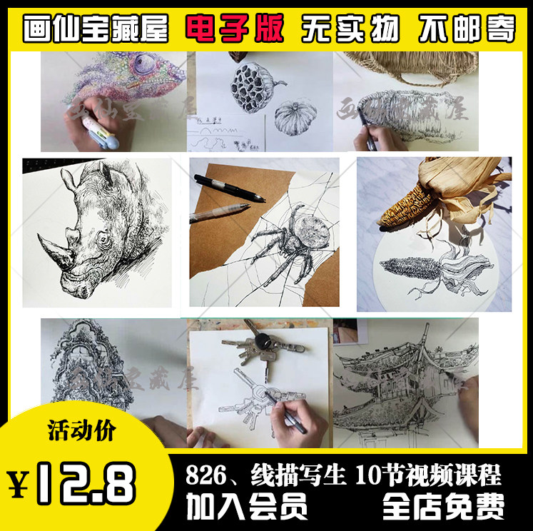 线描视频课程儿童美术课件建筑静物动物速写钢笔画户外写生速写课