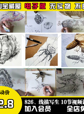 线描视频课程儿童美术课件建筑静物动物速写钢笔画户外写生速写课