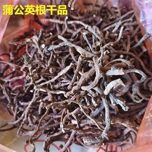 天然野蒲公英茶 黄花苗根 黄黄苗 婆婆丁 黄花地丁全棵干品