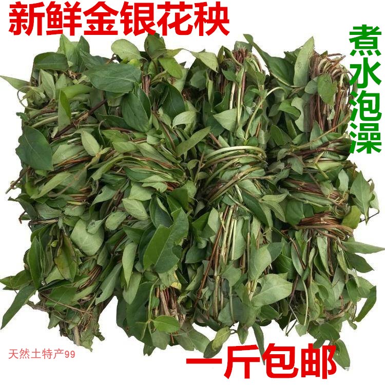 新鲜金银花藤忍冬藤二花秧宝宝洗澡天然野艾草叶婴儿洗澡止痱子