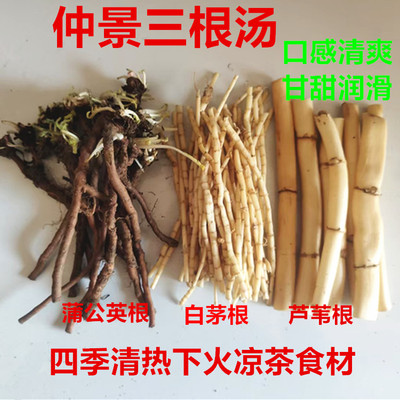 新鲜仲景蒲公英下火白茅根