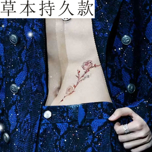 纹身贴定制云旗郝熠然同款腹部野蔷薇草本果汁持久明星纹身贴高级