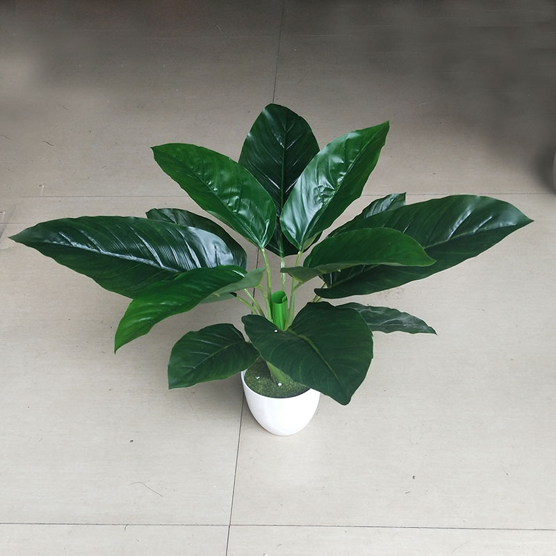 仿真盆栽万年青花假花海棠花荷花