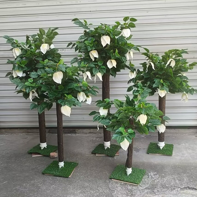 珙桐花树珙桐树枝树叶鸽子花树