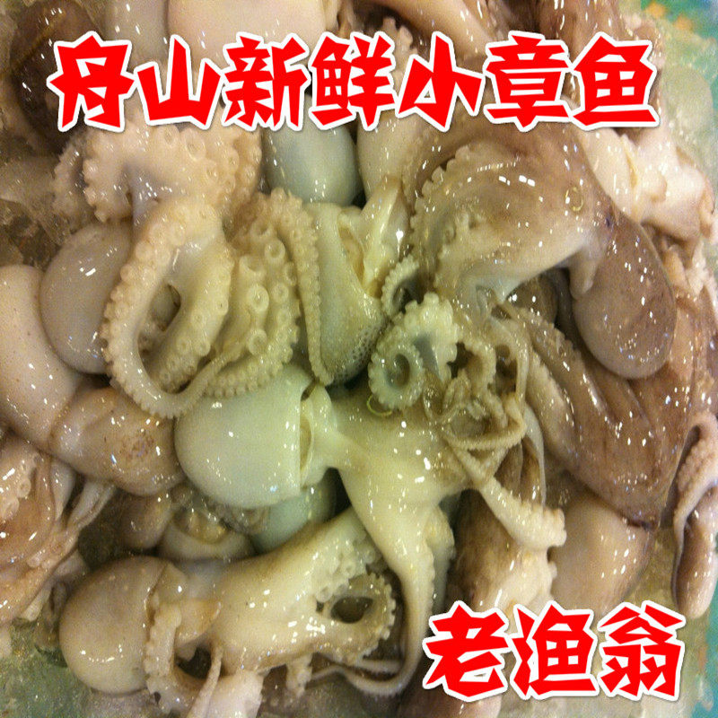舟山鲜活海鲜 新鲜八带鱼 章鱼 墨鱼 八爪鱼 望潮 石屑