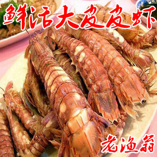 舟山鲜活海鲜/鲜活母富贵虾/虾蛄/皮皮虾/新鲜琵琶虾带膏带籽
