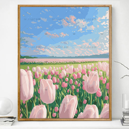 郁金香植物花卉画画diy数字油画