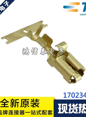AMP/TE连接器 170234-1 端子 线规10-12AWG 原装现货 一个起拍