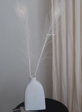 米色羽毛 纯天然孔雀羽毛桔叶永生花软装样桌面边几样板间摆件