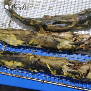 温州泰顺，小溪坑沟，野生锅焙炭烤米糠熏制，黄鳝丁鱼干500g