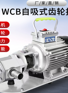 自吸齿轮泵电动抽油泵高粘度不锈钢抽油泵220v380v电动齿轮泵370W