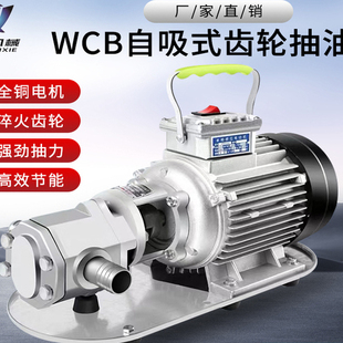 自吸齿轮泵电动抽油泵高粘度不锈钢抽油泵220v380v电动齿轮泵370W