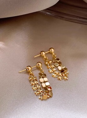 超闪流苏时尚耳环女独特设计气质个性耳钉轻奢精致高级百搭耳饰品