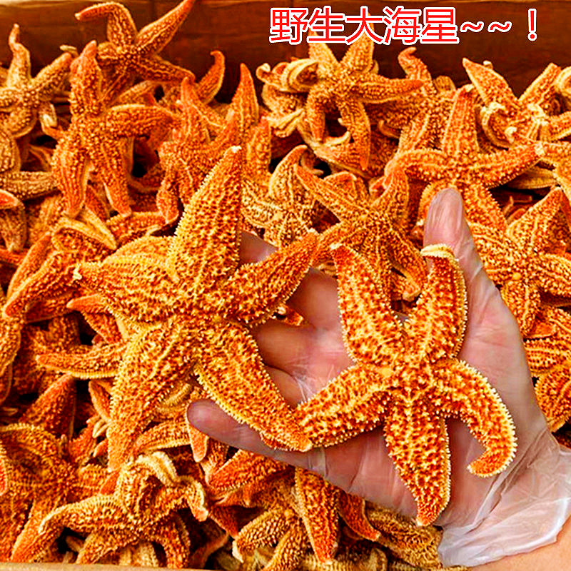 野生大海星干货煲汤喝鲜美