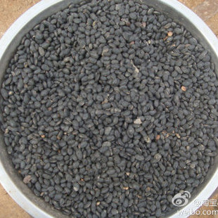 太行山山西武乡 农家黄仁小黑豆 扁黑豆 笨黑豆 豆浆用黑豆