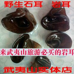 武夷山特产特级野生岩耳 石耳 云耳 黑木耳小碗耳张家界干货500g