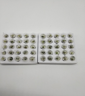 包邮 小灯泡小电珠2.5v3.8V螺口小学初中电学用老式 手电筒用50个