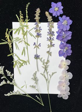 Wedding 蓝紫色压花DIY誓言卡材料包东巴纸誓言本真花手工誓词本