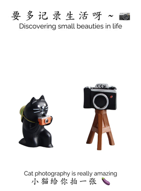 可爱拍照猫咪摄像机三脚架车载饰品车内摆件治愈系小摆件相机