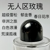 无人区玫瑰超级雪松白色浪漫流浪者非州之旅荒漠孤魂郁金香春日花