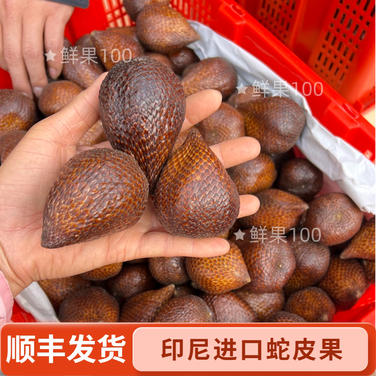 进口印尼蛇皮果鲜果当季新鲜热带其它