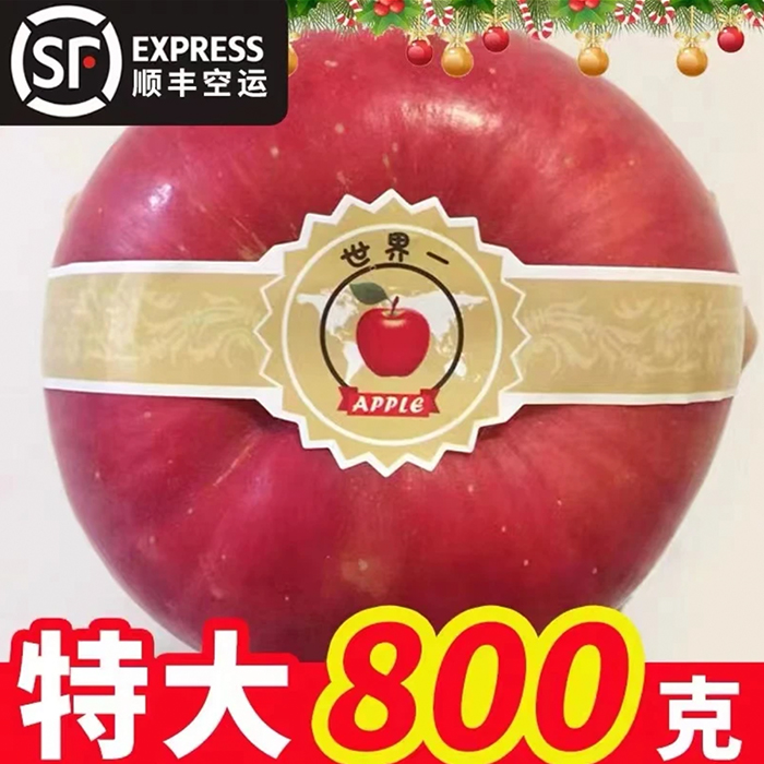 圣诞苹果巨型苹果世界一圣诞节