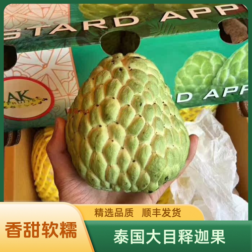 泰国大目释迦果当季新鲜