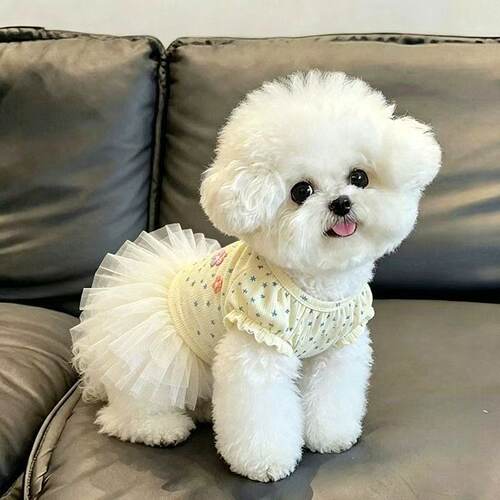 2026新款萌宠小裙狗狗可爱连衣裙夏季薄款比熊小型犬猫咪防脱背心