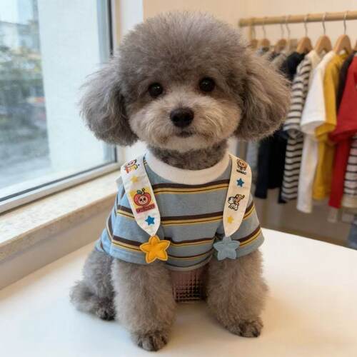春夏薄款防掉毛小狗衣服