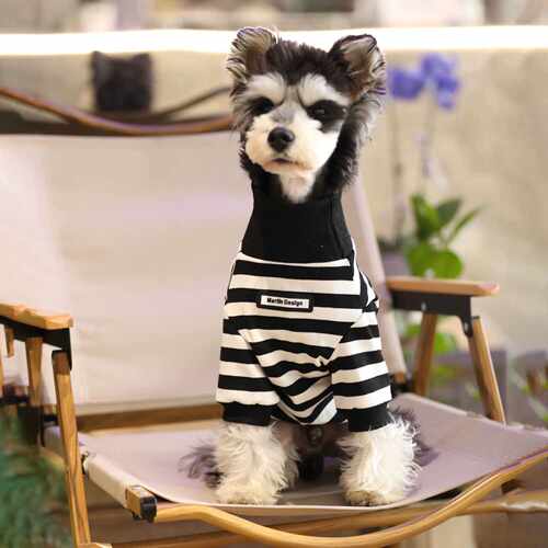 雪纳瑞宠物猫咪条纹新款卫衣