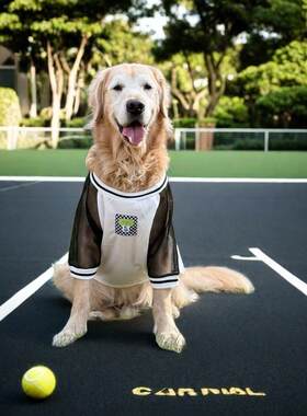 大型犬夏季薄款透气狗衣服金毛