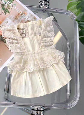 宠物狗狗猫咪衣服春秋款浅燕麦色雪纺蕾丝裙韩国马尔济斯小型犬装