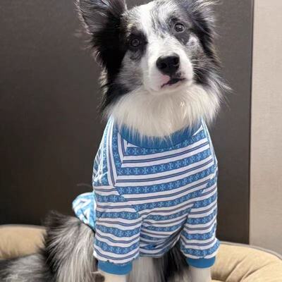 大型犬春夏薄款条纹防掉毛卫衣