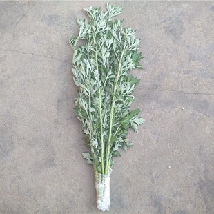 小叶艾草新鲜野生艾叶艾蒿整棵端午挂门驱蚊虫青团带杆叶泡澡脚