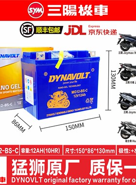 三阳巡弋300 TL500/TL508/FNX150/MAXSYM400i 600i九妹Z300电瓶