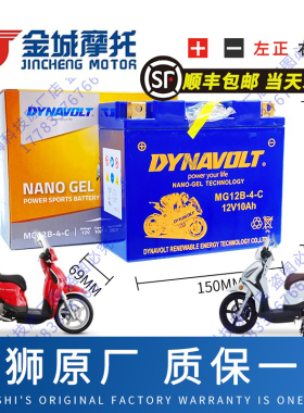 金城圣甲虫200 AD1阿迪瓦ADIVA200提拉米苏JC200T欧陆宝AJ201电瓶