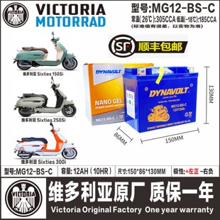 龙嘉V咖250i V霸V途250 VMAX300ie维多利亚300 150 XDV250电瓶