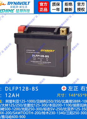 凯旋攀爬者T100 Speed Triple1050 T900 T120 StreetTwin锂电池