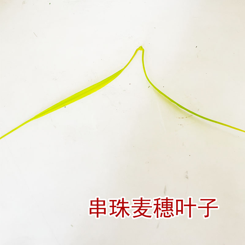 麦穗叶子配草串珠材料