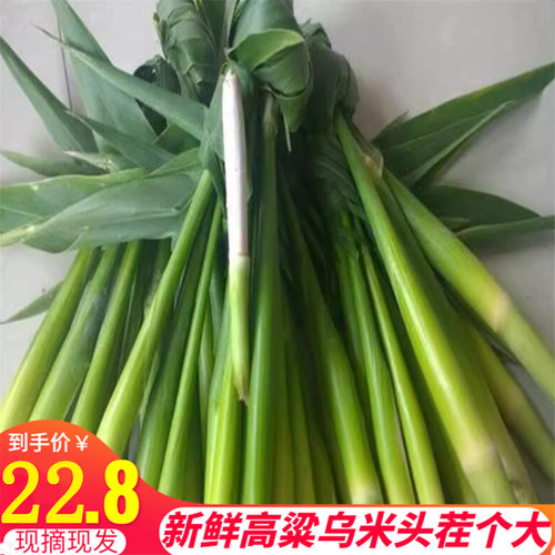 新鲜高粱乌米头茬青皮乌苠菌蔬菜