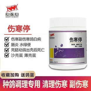 信鸽沙门氏丸伤寒停鸽药心连心粉剂副伤寒鸽子风寒用药噬菌伤寒清