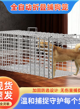 绿净全自动折叠捕狗笼