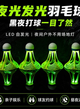 发光羽毛球防风耐用夜间尼龙球专业夜光耐打荧光塑料室外带灯LED.