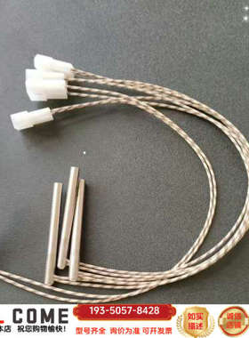 热电赛默飞稀释模块 IFED 热电偶 53010067 10详谈报价