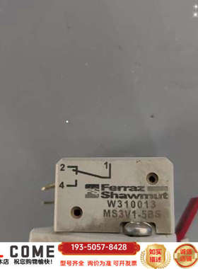 微型熔断开关MS3V1-5BS W310013C详谈报价