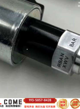 RBAN-XWN-224/315bar详谈报价