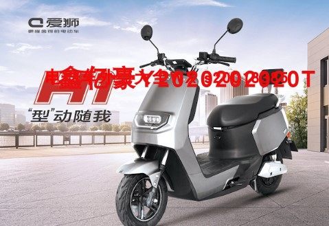 爱狮电瓶车h1塑料件原厂大灯前卫电动车大黄蜂战狼边条战神工具箱